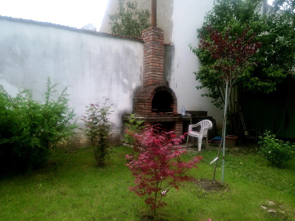 Pensiunea Paloma 3 Stele Brasov Luaran gambar